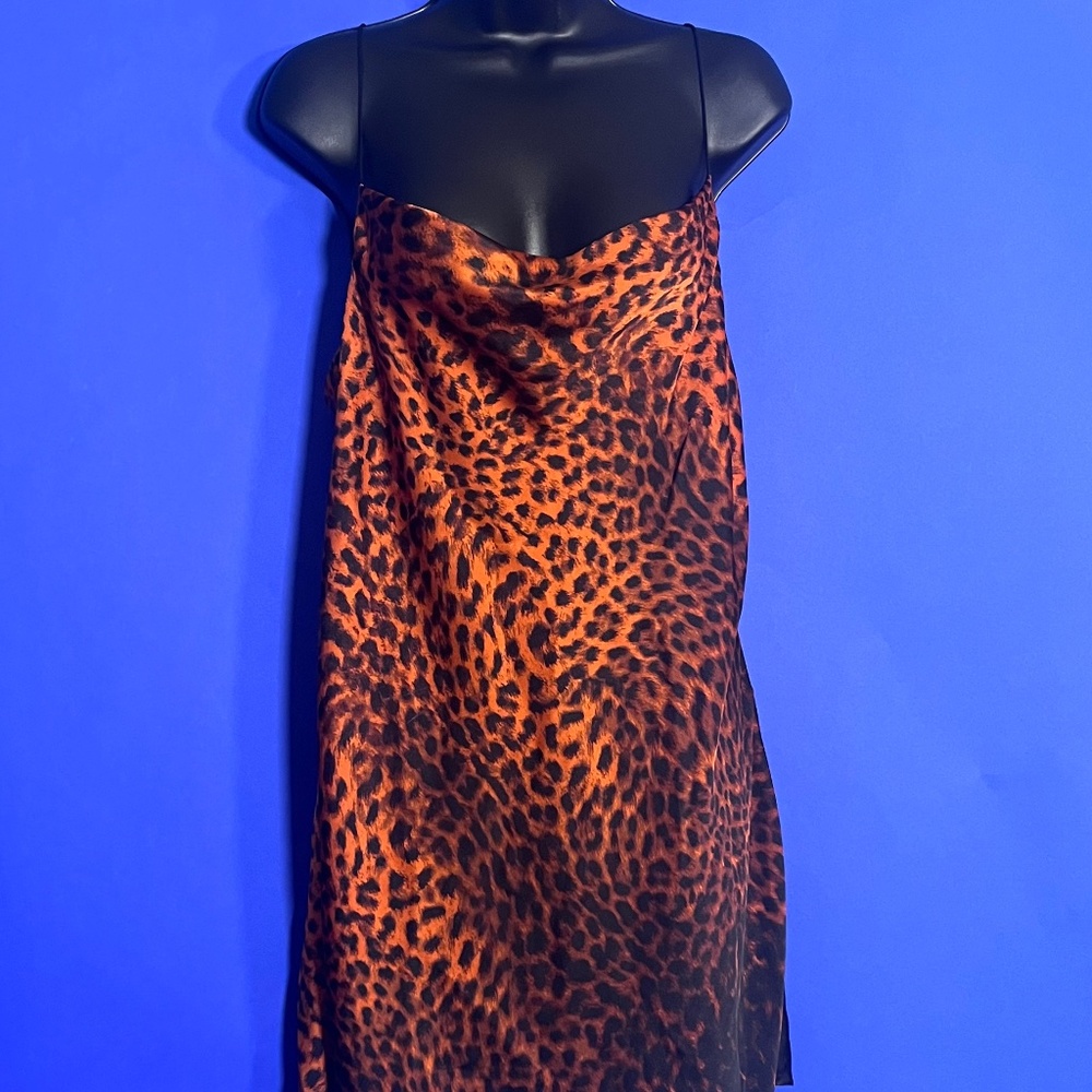 Zara Animal Print Dress